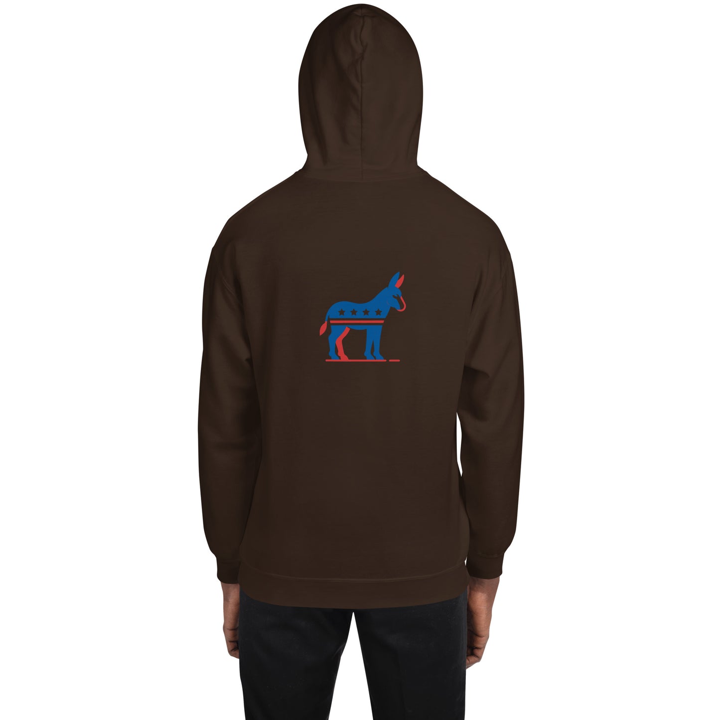 Strength of Democracy Hoodie
