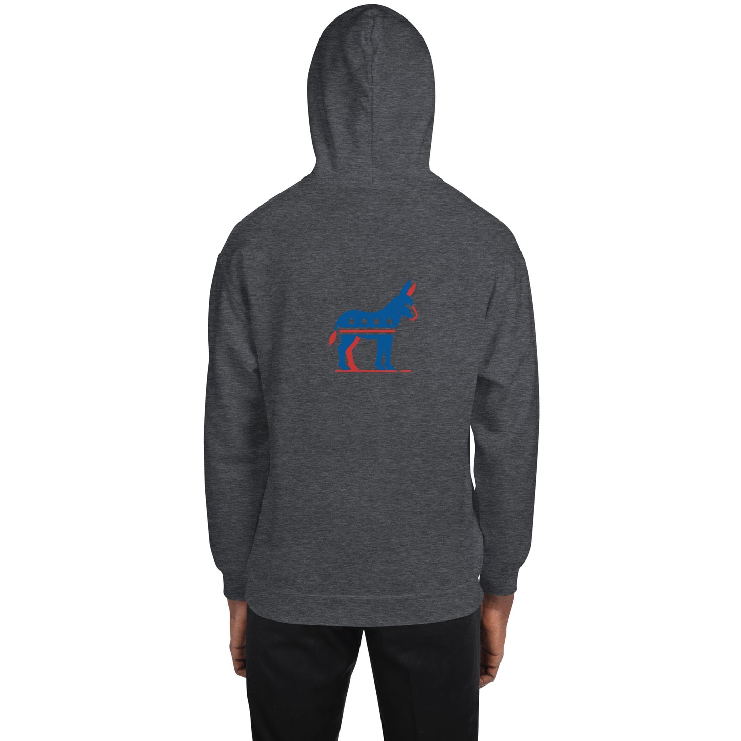 Strength of Democracy Hoodie