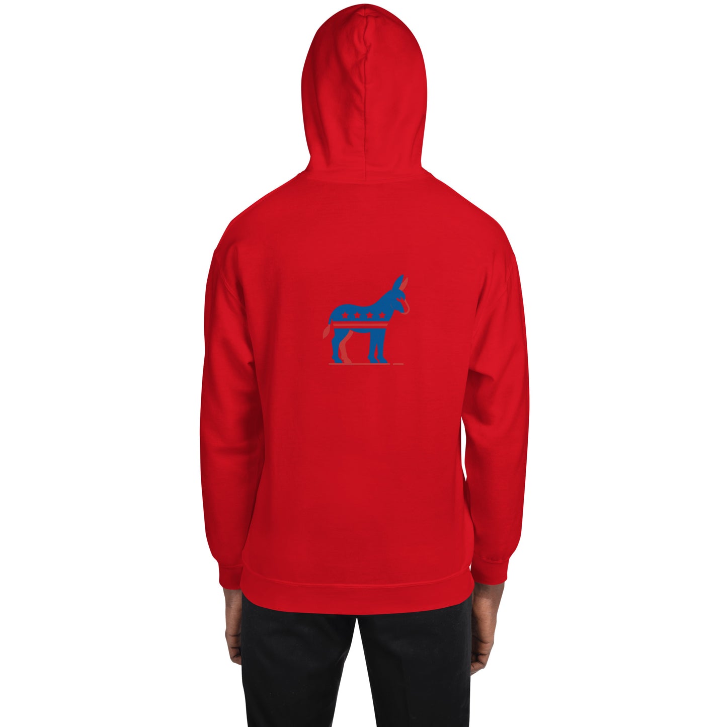 Strength of Democracy Hoodie