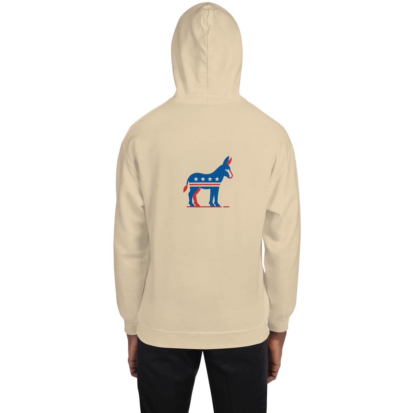 Strength of Democracy Hoodie
