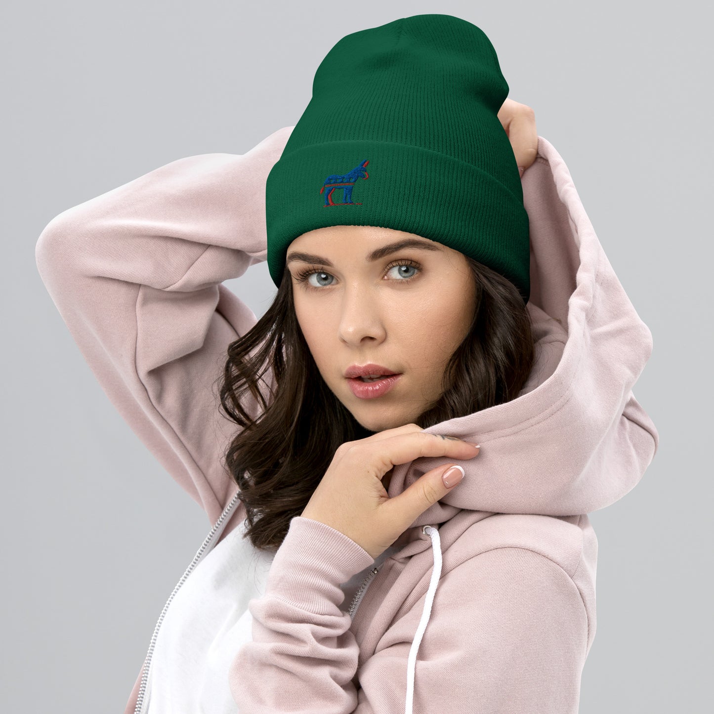 Democratic Pride Cuffed Beanie