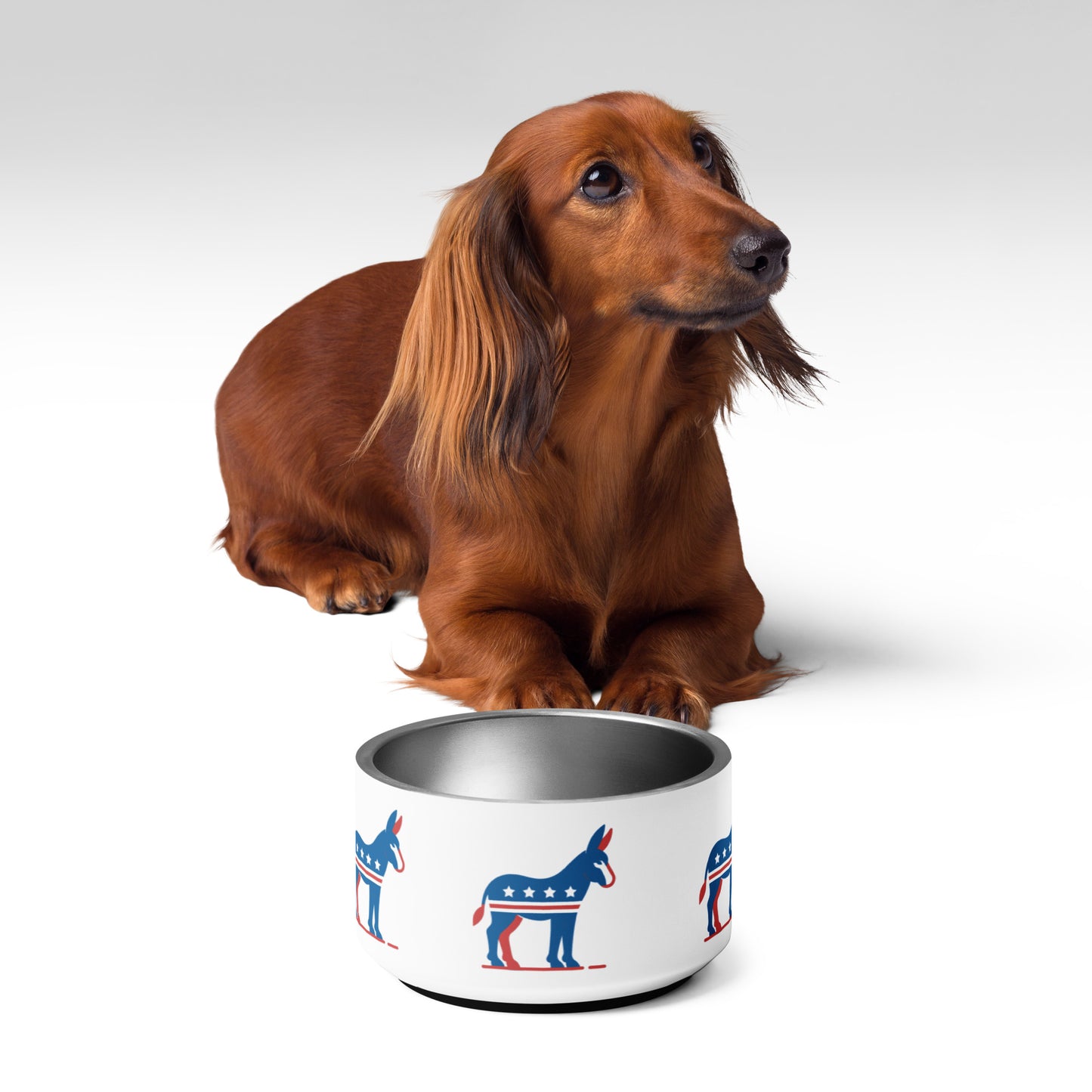 Democratic Companion Pet Bowl