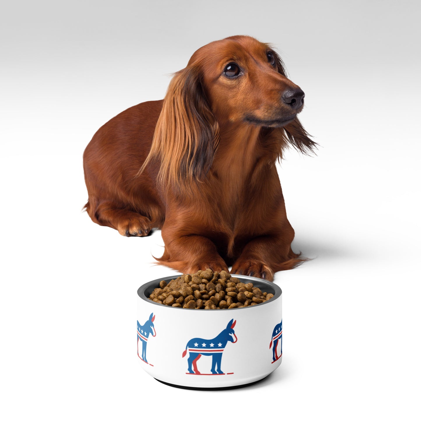 Democratic Companion Pet Bowl