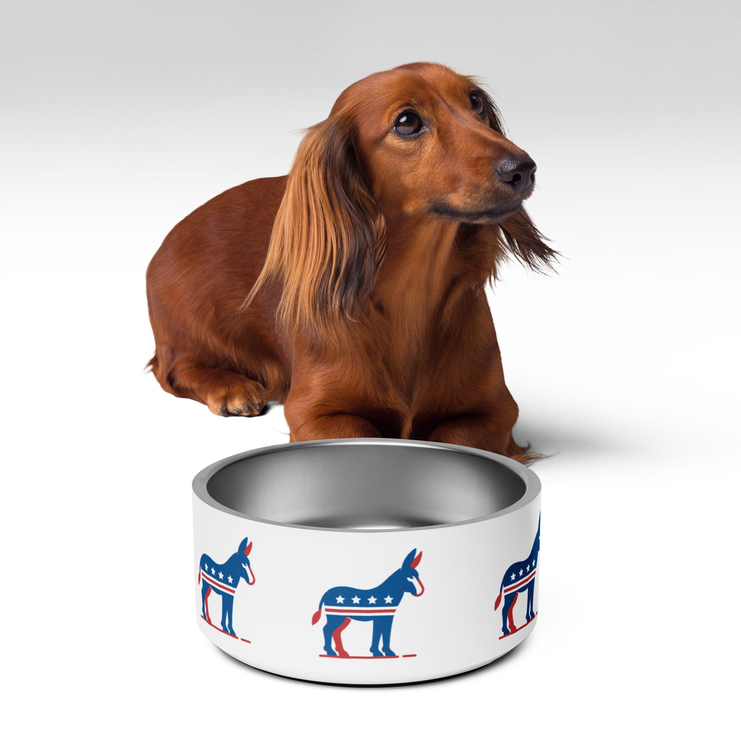 Democratic Companion Pet Bowl